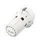 RAW 5010 Термостатический элемент Danfoss 013G5010 | 8-28°С