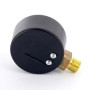 Манометр радиальный F+R200 WATTS Ind 1/4" 63 мм 16 бар | 10007725