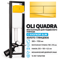 Комплект инсталляции OLI Quadra Total Black 886667+154962 с панелью SLIM, золото
